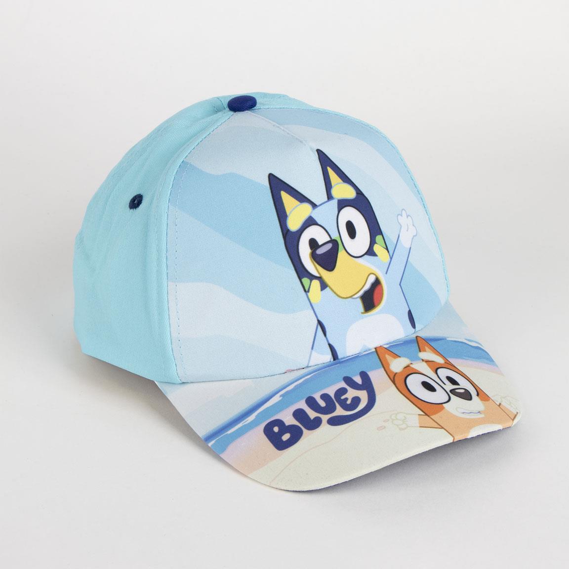 Conjunto de Praia Bluey